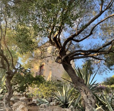 Mallorca nu kommer vi 