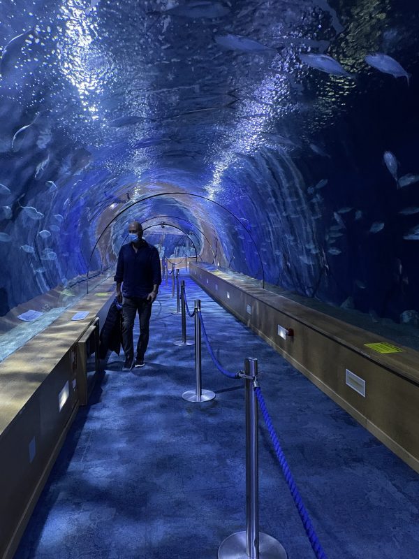 Tips Mallorcautflykt till Valencia 