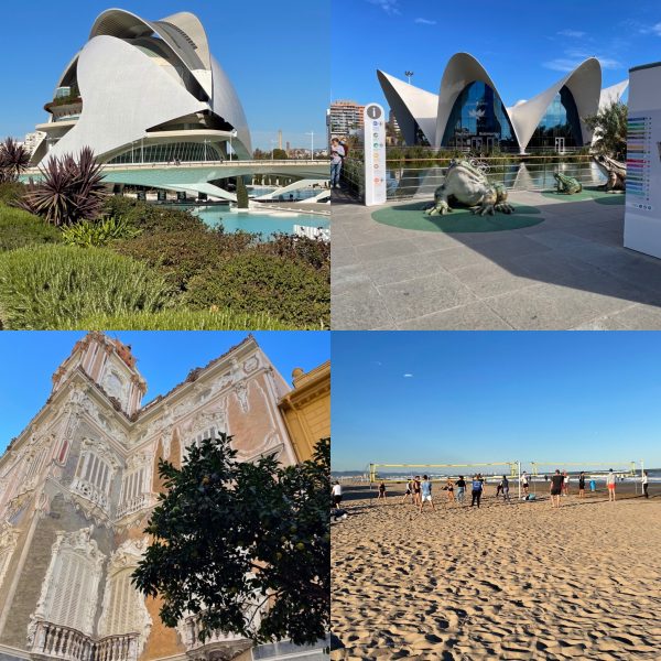 Tips Mallorcautflykt till Valencia 